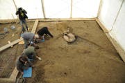 Mitarbeiter der Kantonsarchäologie Luzern bei der Ausgrabung der Überreste der mittelalterlichen Kirche in Schötz. (Bild: Kantonsarchäologie Luzern)