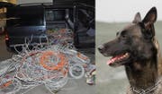 Polizeihund Pango vom Urnerland stoppte in Holzhäusern einen Dieb. Die drei Männer liessen 400 Kilo Kabel mitlaufen. (Bild: Zuger Polizei)