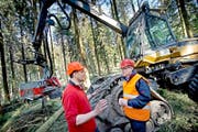 Spaziergang im Sedelwald: Regierungsrat Robert Küng im Gespräch mit Roland Rolli, der die Holzerntemaschine Harvester fährt. (Bild Pius Amrein)