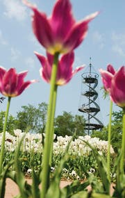 Mitten im Killesbergpark steht der aus zwei Wendeltreppen bestehende Killesbergturm. Herrlich luftig und aussichtsreich! (Bild: Stuttgart Marketing GmbH)