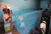 Moskitonetze sind ein wirksamer Schutz gegen Malaria: Demonstration eines Netzes in der kenianischen Hauptstadt Nairobi. (Bild: Wendy Stone/Getty)