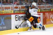 Flexible Banden (auf dem Bild checkt Zugs Dominic Lammer den Berner Luca Hischier) sollen das Verletzungsrisiko von Eishockey-Spielern minimieren. (Bild: Peter Klaunzer / Keystone)
