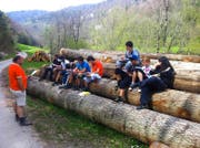 Jugendliche im 15-wöchigen Trainingscamp im Frühling 2012. Künftig soll dieses Angebot mindestens einmal jährlich stattfinden. (Bilder Stiftung Speranza)