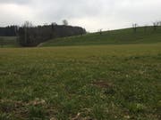 Das Gebiet Stuben in Ebikon. (Bild: hor)