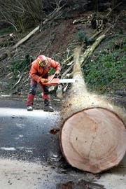Michael Rogenmoser entastet einen Baumstamm im Oberwil-Wald bei Littau. (Bild Nadia Schärli)