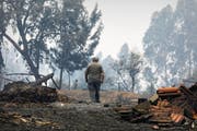 Ein Mann läuft im portugiesischen Valongo durch den vom Feuer zerstörten Wald. Der Waldbrand kostete im Juni elf Menschen das Leben. (Bild: Antonio Cotrim/EPA (19. Juni 2017))