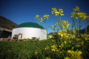 Ein solches Silo könnte dereinst auch in Richenthal stehen. Dort ist eine Biogasanlage geplant. Im Bild die Biogasanlage Agro Energie in Schwyz. (Bild: Archiv/Neue LZ)