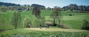 Der Golfpark soll um die Landwirtschaftsflächen links und rechts der mittigen Baumgruppe erweitert werden. (Bild: Pius Amrein (Oberkirch, 24. April 2017))