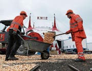 Beim Zeltbau wird auch in luftiger Höhe gearbeitet (grosses Bild). Sägemehl darf natürlich im Zirkus nicht fehlen (unten links). Beim Aufbau sind zwischen achtzig und hundert Leute tätig. (Bilder: Stefan Kaiser (Zug, 6. November 2017))