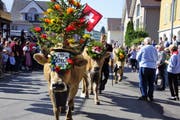 Alpabfahrt im Entlebuch: Festlich geschmückte Kühe ziehen durchs Dorf. (Symbolbild) (Bild: PD)