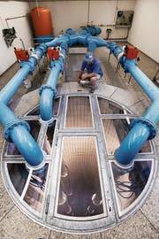 Die Zuger Trinkwasserqualität ist sehr hoch. Das Bild zeigt das WWZ-Grundwasserpumpwerk in Oberwil. (Archivbild: Christine Benz (3. Juli 2014))