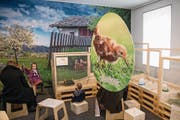 So sieht die neue Oster-Ausstellung im Natur-Museum aus. (Bild: Urs Flüeler/Keystone (Luzern, 28. März 2018))