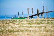 Blick auf den Bodensee während einer lange andauernden Trockenperiode im Frühjahr 2011. Bild: Ennio Leanza/Keystone (Arbon, 5. Mai 2011)