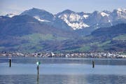 Wasserqualität sehr gut: der Obere Zürichsee. (Bild: PD)