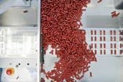 Eine Maschine im Pharmaunternehmen Acino in Aesch, einem Generika-Hersteller, verteilt Kapseln in Packungen. (Bild: Keystone/Gaetan Bally)