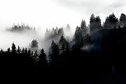 In den Hochwäldern am Pilatus - hier ein Blick auf jenen unterhalb der Fräkmüntegg - sind die Verhältnisse rund um die Bauten noch immer nicht geklärt. (Bild: Keystone)