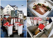 Geri Widmer auf seiner Sammeltour in Steinhausen (links). Die Speisereste werden im Biomasse-Kraftwerk in Hünenberg zu Biogas weiterverarbeitet. Im Bild Mitarbeiter Köbi Suter (rechts unten). (Bilder Stefan Kaiser)