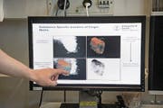 Fingerabdrücke werden ausgewertet. (Bild: Nadia Schärli (Zürich, 19. April 2017))