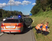 Die Polizisten konnten die Ziege einfangen. (Bild: Luzerner Polizei)