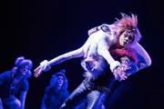 Die Kanti Schüpfheim führt als erste Laientruppe der Schweiz das Musical «Cats» in der Mehrzweckhalle in Escholzmatt auf. (Bild Pius Amrein)