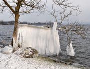 Die Auswirkungen der aktuellen Kältewelle zeigen sich am Seeufer in Buonas besonders eindrücklich: Eine faszinierende Eisskulptur ist hier entstanden.Leserbild: Corinne Büchler, Buonas (27. Februar 2018)