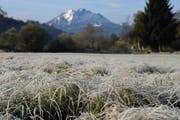 Frost nach einer kalten Nacht. (Bild: Boris Bürgisser)