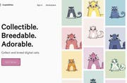 Digitales Katzensammeln auf der Webseite www.cryptokitties.co. Bild: Screenshot (Bild: Screenshot)