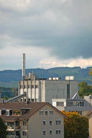 Die Abwärme der Pavatex wird gegenwärtig nicht genutzt. Bild: Maria Schmid (Cham, 18. Oktober 2016)