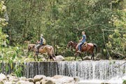 Familie Gromann mag es in den Ferien auch gerne mal abenteuerlich und hoch zu Ross. (Bild: patotra.com)