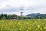 Die 40-jährige Unterstation Willisau wird durch einen Neubau ersetzt. (Bild: PD)