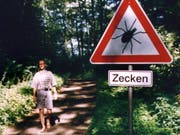 In der Schweiz sind seit Anfang 2017 so viele Menschen nach Zeckenbissen erkrankt, wie seit zehn Jahren nicht mehr. (Archivbild) (Bild: KEYSTONE/EPA DPA/IMMUNO)