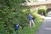 Polizisten letzten Sommer an dem Ort in Emmen, wo eine Frau vergewaltigt wurde. (Bild Beatrice Vogel)