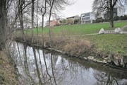 Im Bereich Hofbach soll die Sure für 2,6 Millionen Franken revitalisiert werden. (Bild: Boris Bürgisser (Oberkirch, 28. November 2017))