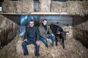 Peter Winter und Martin Nestmann vom Restaurant Schiff mit Stier Erich im Chrummbaum-Stall. (Bild: Nadia Schärli (Hellbühl, 27. Februar 2018))