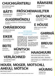 Einige Dialekt-Wörter im Überblick. (Bild: Neue LZ)