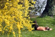 Dieses Wochenende wird warm genug für ein Schläfchen im Freien. (Bild: Walter Bieri/Keystone)