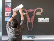 Das Kompetenzzentrum amorix erstellte Grundlagen zur schulischen Sexualerziehung ung Sexuelpädagogik. Nun wird es geschlossen (Symbolbild) (Bild: Keystone)