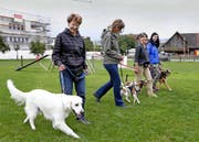 Ein Hundekurs in Hünenberg: Susy Trinkler, Rita Furrer, Vera Zimmermann und Janet Holzgang (von links).Bild: Werner Schelbert (20. September 2016)