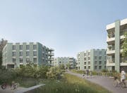 So könnte der Haslirainpark in Buchrain dereinst aussehen. (Bild: Visualisierung: Steiner AG)