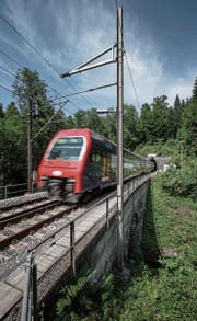 Eine S-Bahn auf dem einspurigen Abschnitt bei Sihlbrugg in Fahrtrichtung Zug. (Bild: Pius Amrein (13. Juni 2017))