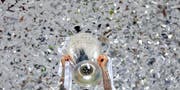 Sergio Ramos, der Captain von Real Madrid, stemmt die begehrteste Trophäe im Klubfussball: Die Champions League ist für die Uefa eine Goldgrube. (Bild: AP/Manu Fernandez)