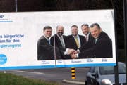 Ein Wahlplakat der FDP im Januar 2010 in Steinhausen. (Symbolbild Neue ZZ)