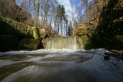 Ein Bach in der Nähe von Wolhusen. (Archivbild: Philipp Schmidli/LZ)