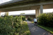 Am 21. Juli 2015 wurde beim Dammweg in Emmen eine 26-jährige Frau vom Velo gerissen und vergewaltigt. (Bild: Keystone / Alexandra Wey)