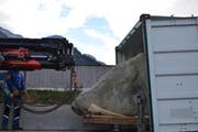 Der Stein ist am Donnerstag bei der Rigi angekommen. (Bild: Roger Joss / Rigi Bahnen AG)