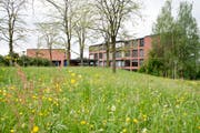 Archivbild Dominik Hodel / Neue ZZ