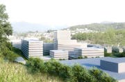 Die Sicht von der Amstutzstrasse nach Luzern - im Vordergrund die Bebauung «Eichhof West» (Bild: Visualisierung PD)