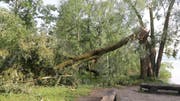 Ein Weg, welcher durch umgestürzte Bäume und Äste blockiert war, musste gesperrt werden. (Bild: Martin Cugini)