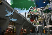 Südsee-Feeling mit Haifischen und Vulkaninseln. (Bild Dave Schläpfer/Zisch)