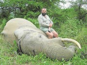 ***EXCLUSIVE*** ZIMBABWE - 2009: David Barrett with an elephant he shot dead in 2009 in Zimbabwe. It is one of the most controversial sports on the planet, but now a British big game hunter has broken out from the closed community to defend the trade. Meet David Barrett, a 55-year-old former civil servant, who has spent the past 14 years travelling the world hunting big game animals. With a trophy room full of prized kills, his intense passion for hunting is plain to see. David has killed over 300 animals including three elephants in Zimbabwe, one hippo in Mozambique and 14 buffalo. Next year he will travel to Africa to hunt his FOURTH elephant. But unlike most hunters who do not discriminate between their prey, David lives by a strict moral hunting code. Hunting only animals that he eats, he argues those who eat meat but profess anti-hunting views are hypocritical. Hunting only Problem Animal Control (PAC) elephants that destroy crops and kill villagers, David says western hunters are vital to the villagers and local communities in countries like Zimbabwe. Paying up to $10,000 DOLLARS for an elephant kill, he argues there are financial benefits for the local population - and in some cases much needed food. PHOTOGRAPH BY Barcroft Media /Barcoft Media via Getty Images (Bild: Getty)